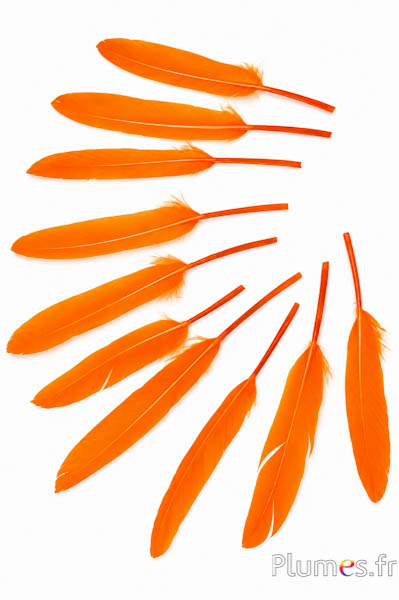 Gans - 10-15 cm - oranje